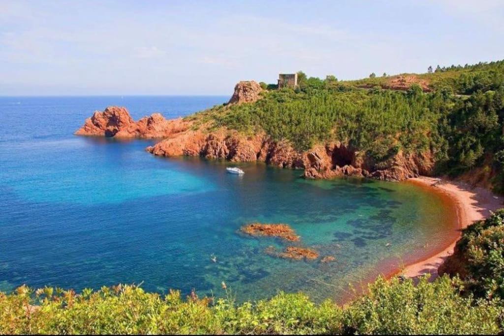 Chaleureux Appartement Face Au Port Sta Lucia, Tout A Pieds, Wifi Сен-Рафаэль Экстерьер фото